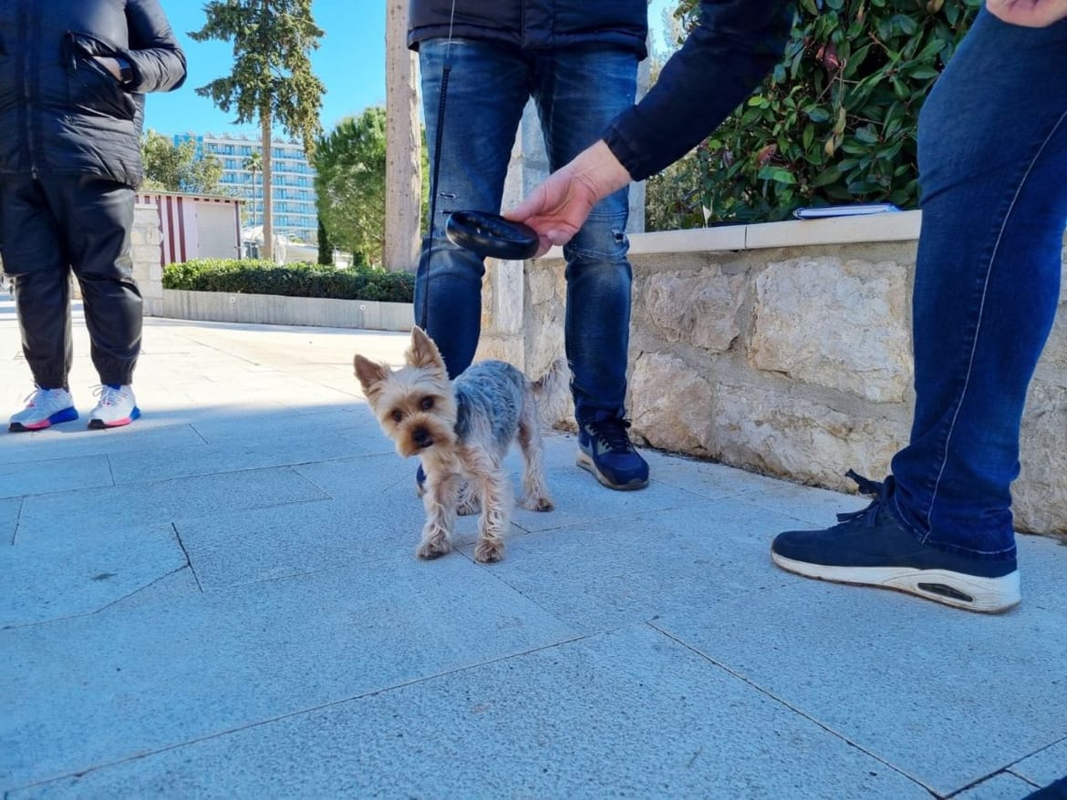 U Dubrovniku se provjeravalo kreću li se psi na povodcu i jesu li čipirani