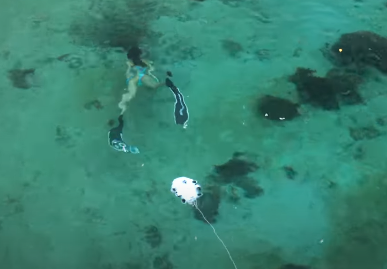 SIGURNIJE I ZABAVNIJE Podvodni robot opremljen AI "diver tracking" funkcijom prati vaše ronjenje!