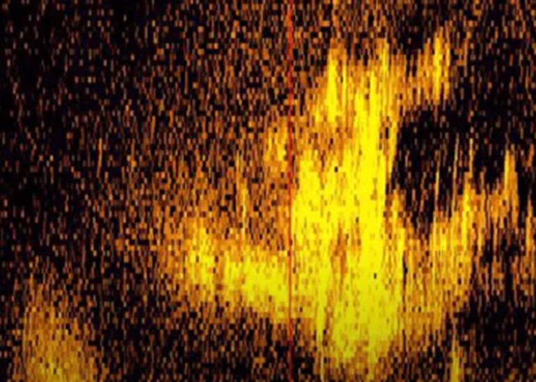 NAKON 87 GODINA Na dubini od gotovo 5000 metara u Tihom Oceanu lociran avion Amelie Earhart?!