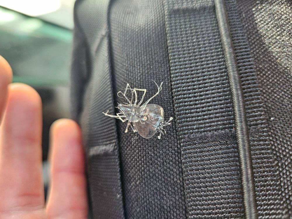 Ribar na Kornatima s 90 metara dubine izvukao neobično biće: "Prvi put sam vidio takvo nešto!"