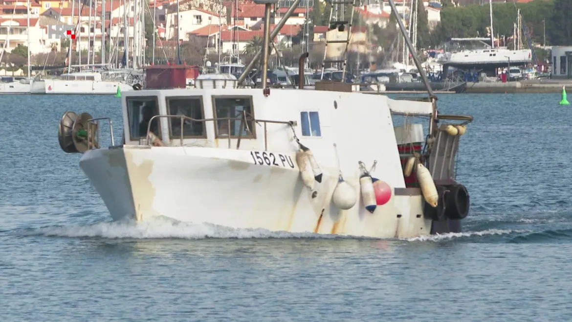 BROD OD BETONA Prednosti i mane ribarskog plovila iz Premanture