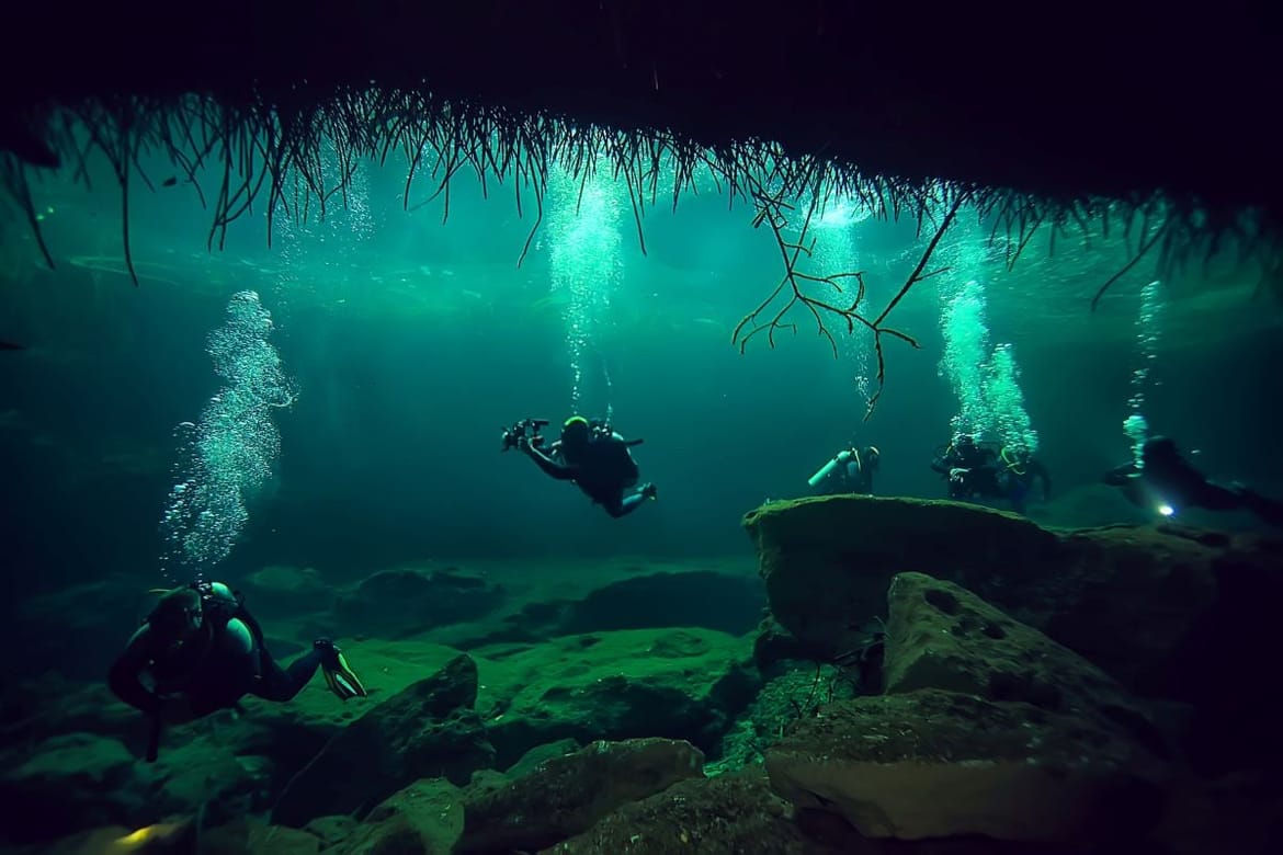 U morskim dubinama pronađeno tajanstveno stvorenje