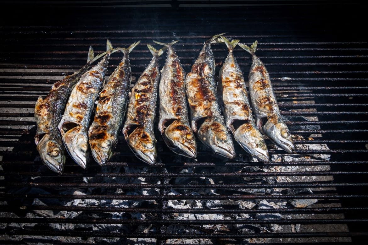 RIBA S GRADELA Tradicionalan recept pripremanja ribe na Jadranu