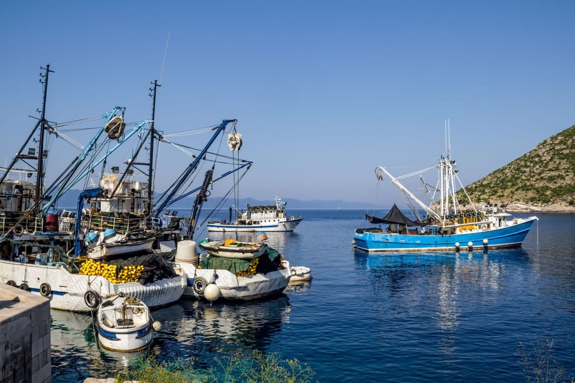 Ovo su svi rokovi za otvorene potpore ribarima i uzgajalištima