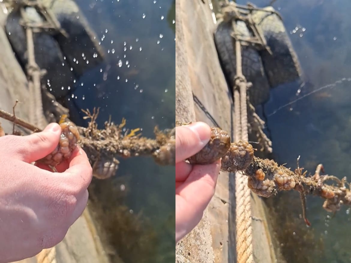 VIDEO Morski mlaz "napao" splitske učenike