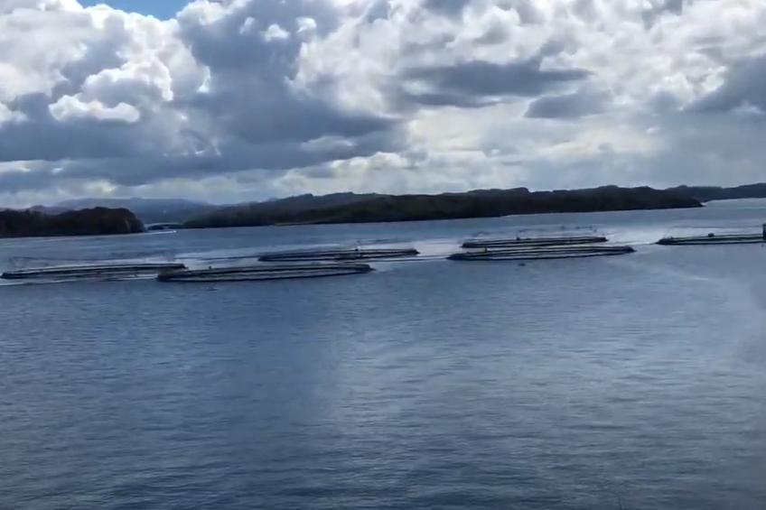 Poruke sa zadarskog skupa o marikulturi Jadrana: "Morski okoliš moramo pod svaku cijenu zaštititi od devastacije!"