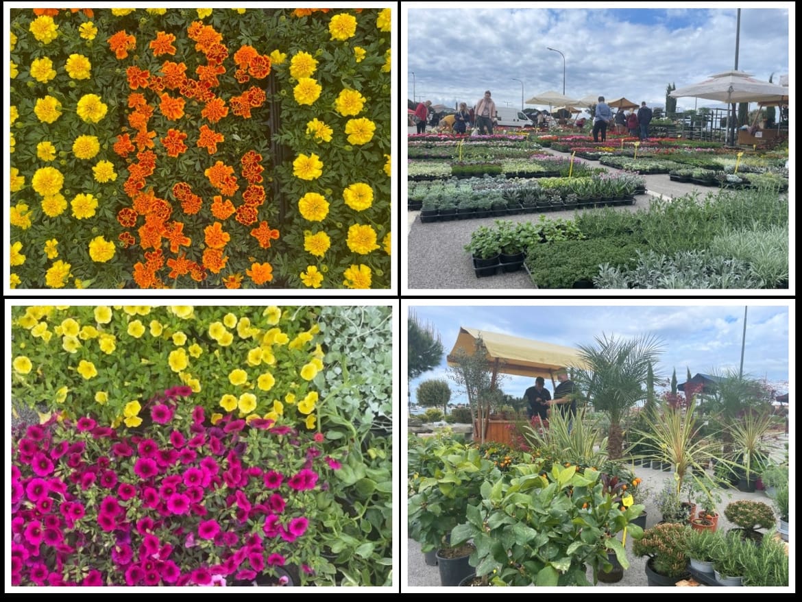 'Umag Floria'  - Još jedan prekrasan proljetni vikend pun cvijeća