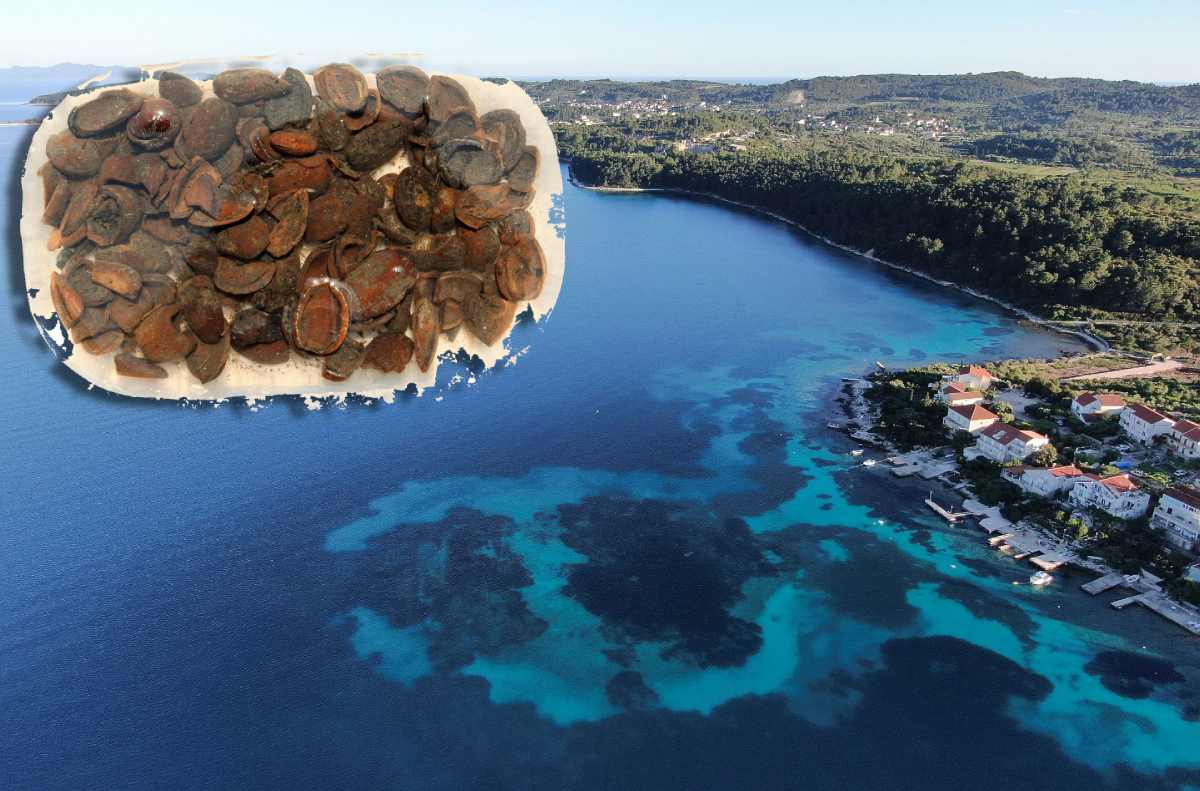 Ovo su bademi iz podmorja Korčule, stari 6.900 godina!