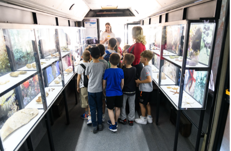 Blago jadranskog podmorja u Zadru!