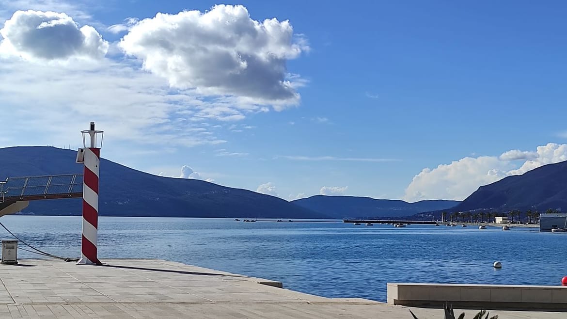 U Crnoj Gori pronađen bešćutno ubijen pas - Imao je uteg od 20 kg oko vrata!