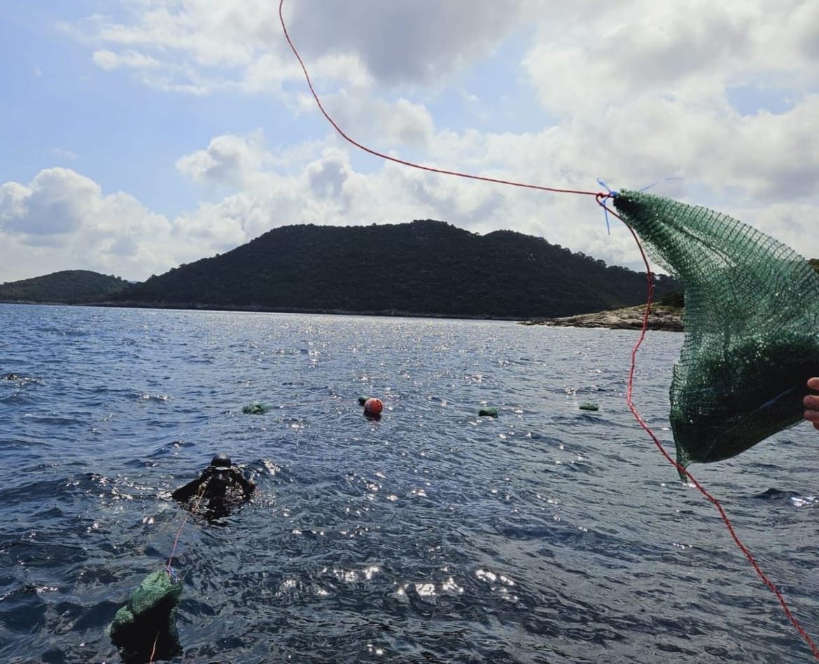 FOTO U tijeku je postavljanje kolektora za periske u podmorje otoka Lastova