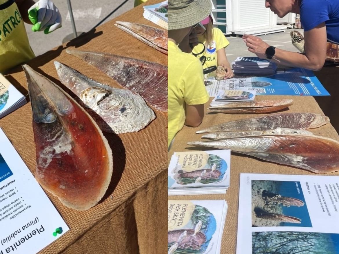 Danas obilježavamo Dan zaštite prirode u Hrvatskoj i Međunarodni dan biološke raznolikosti