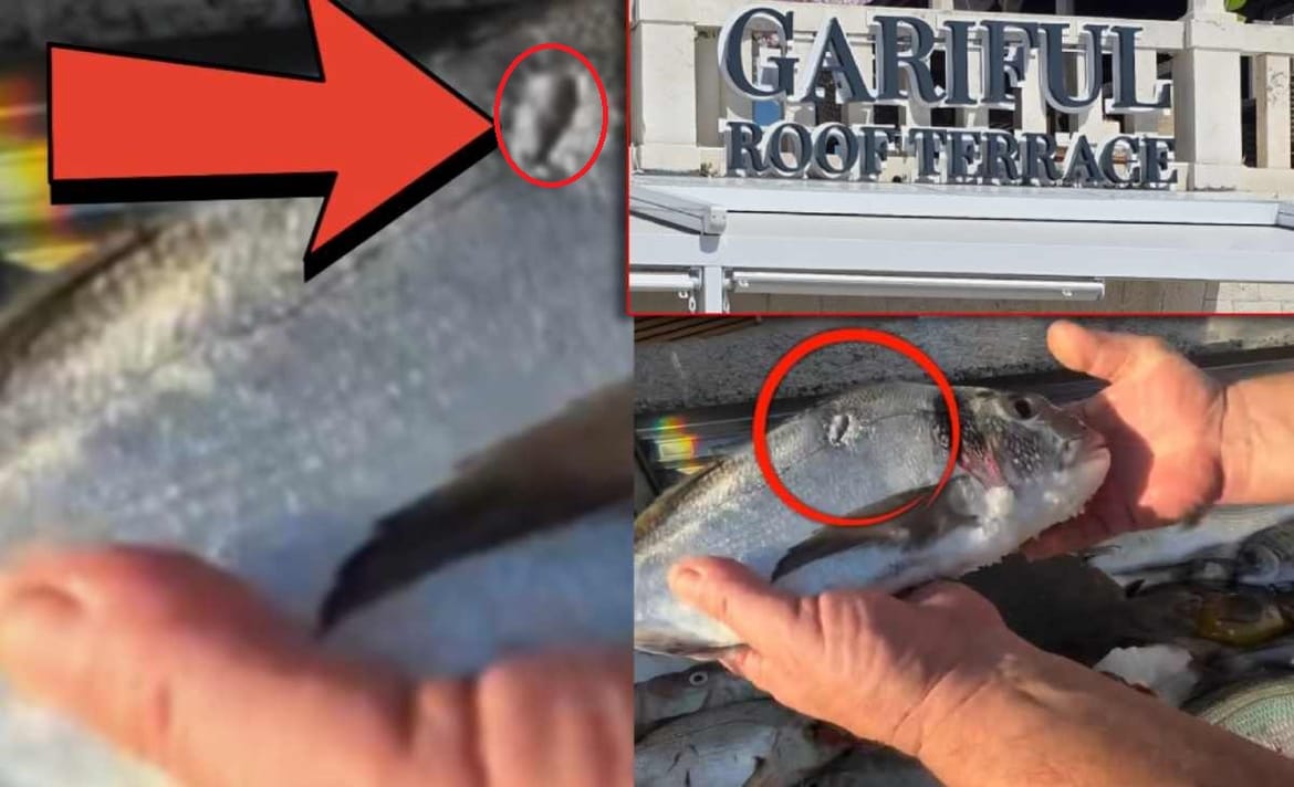 Hvarski restoran se hvali ribama s rupama - Prodaju li zabranjenu ribu, ulovljenu podvodnom puškom?