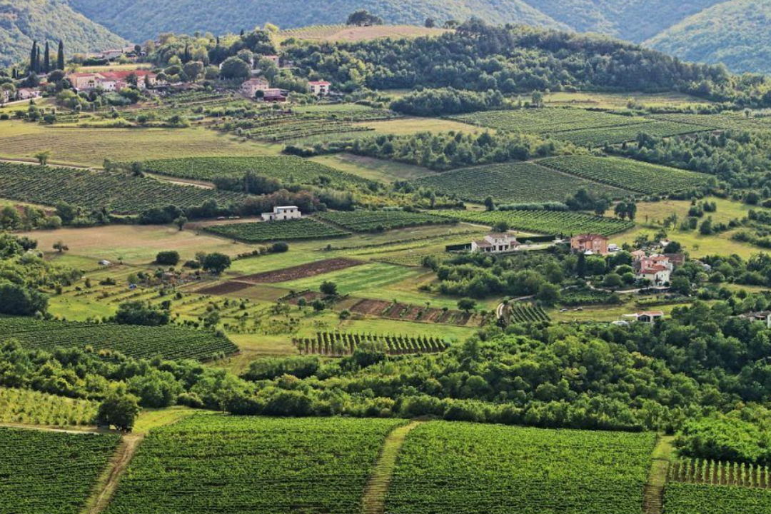 Skočile cijene poljoprivrednih zemljišta u RH!