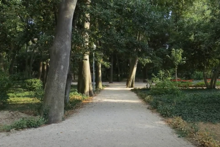 Nijemac u zadarskom parku dobio bocom u glavu!