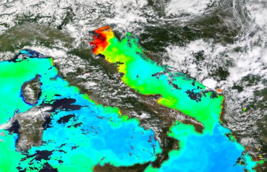 SLUZ I PLASTIKA Jadran se guši  već dvadeset godina!