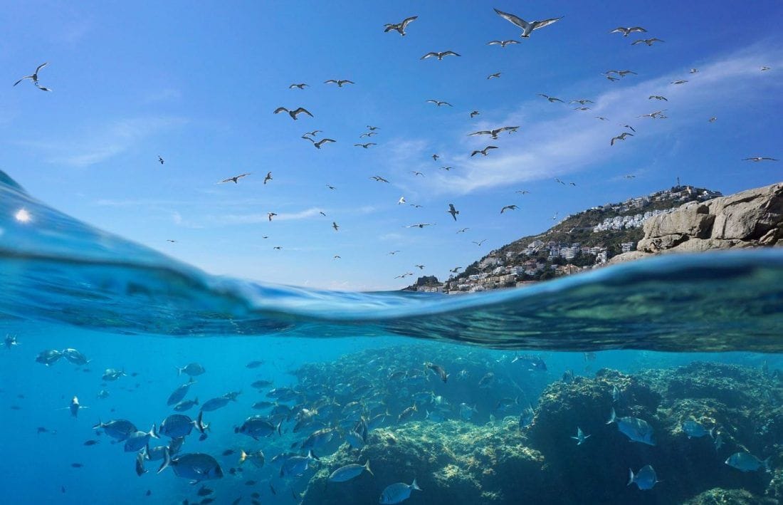 Hrvatsko more najčišće je more u Europi