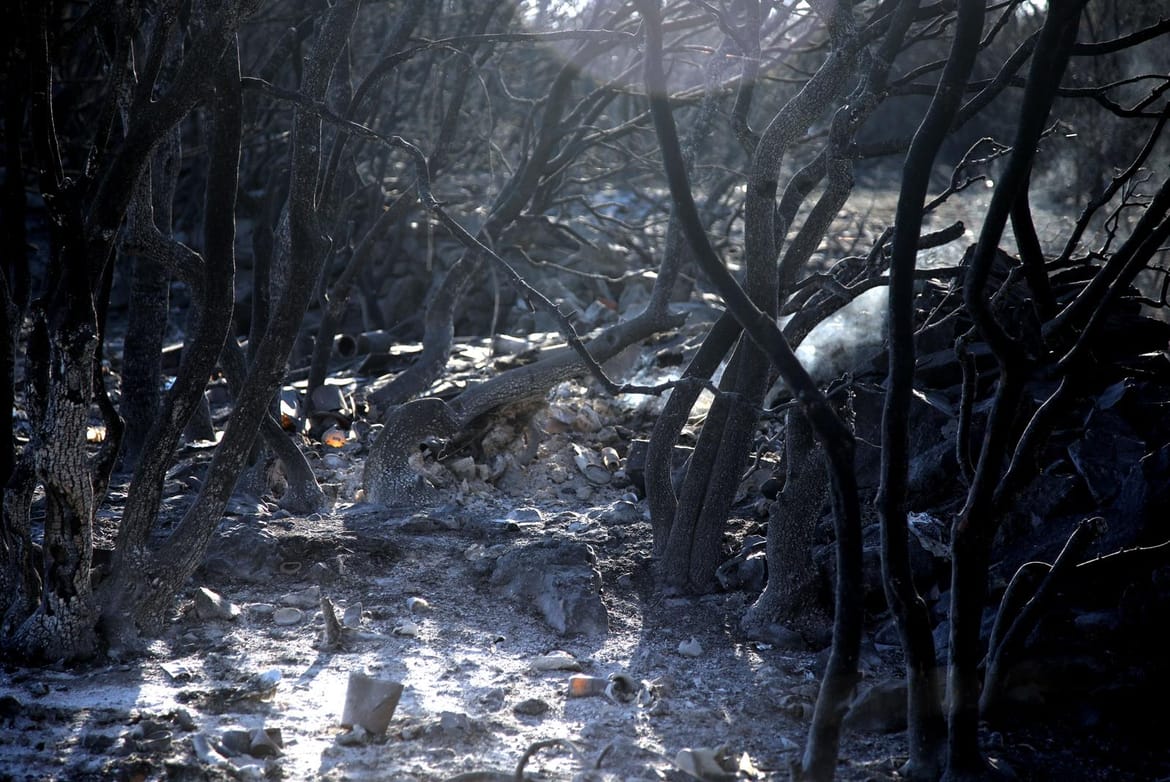 Iza požara ostala pustoš, Park prirode Biokovo: "Zatvoreni smo do daljnjeg!" - Stiže i ministar obrane