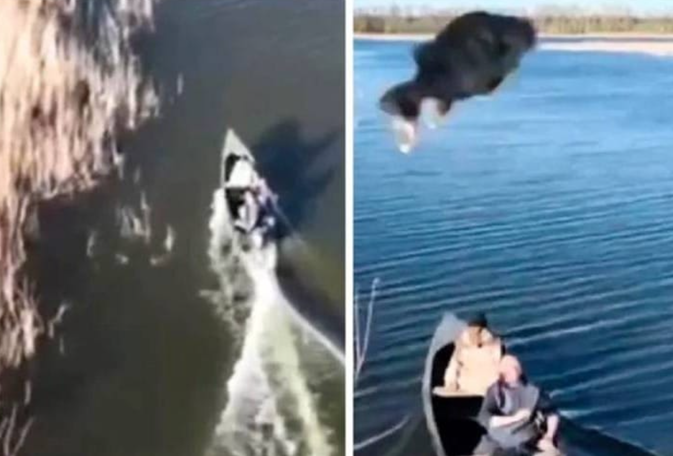 Ribar Ukrajinac pogodio ruski dron - ribom!