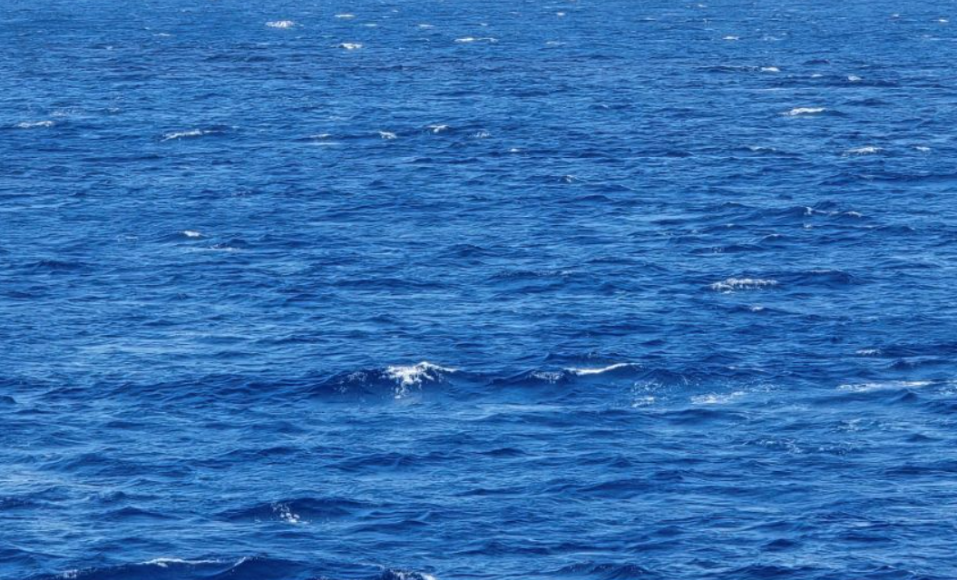 OZBILJNA PROMJENA Što se događa s temperaturom mora u Dubrovniku?