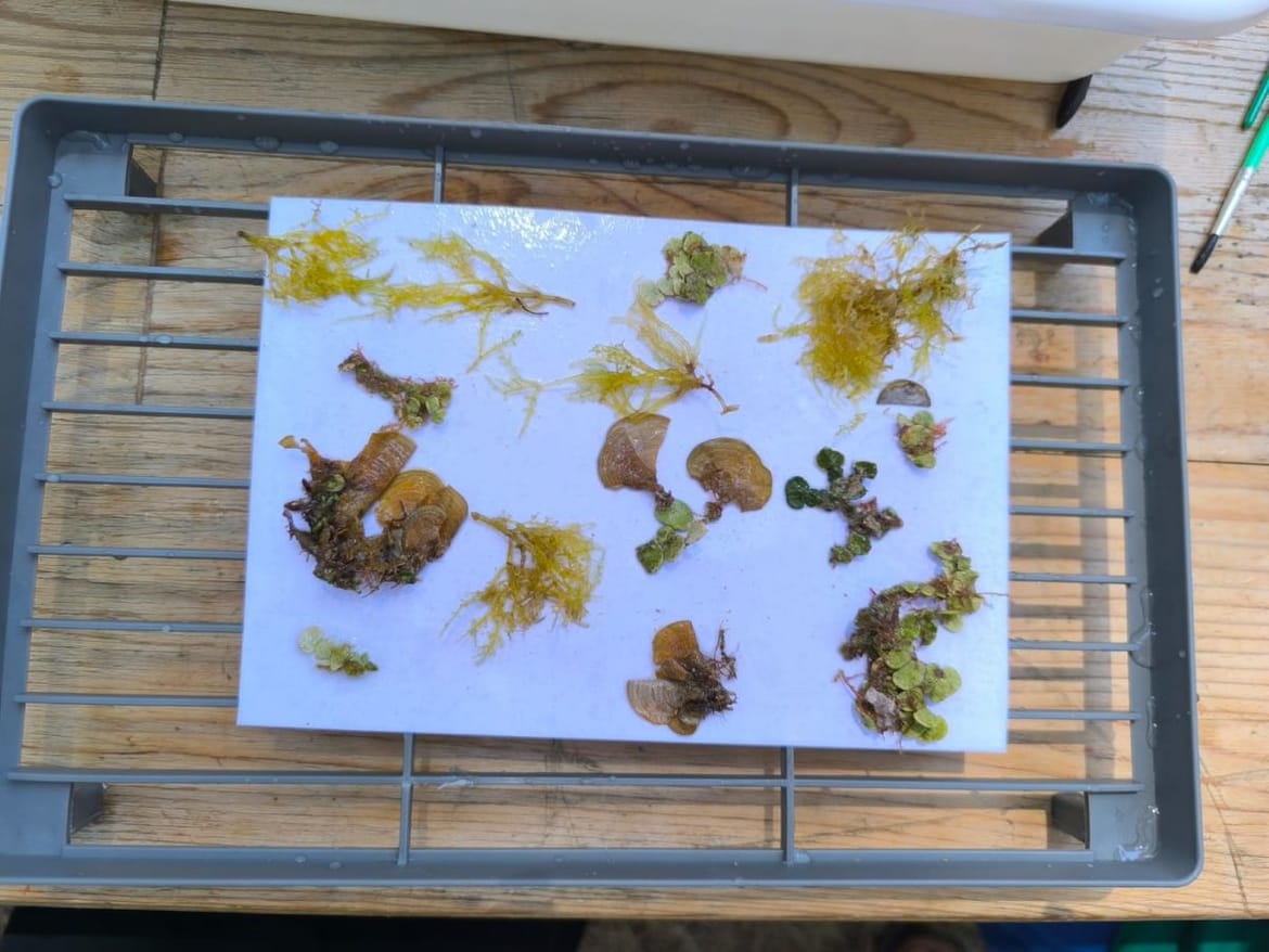 Znanstveno-edukacijske radionice za djecu ljetnog kampa Poreč