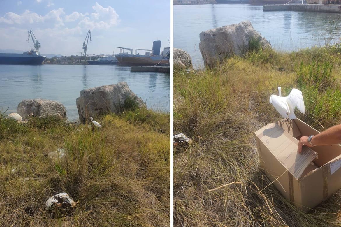 Splitski škver posjetila neobična gošća