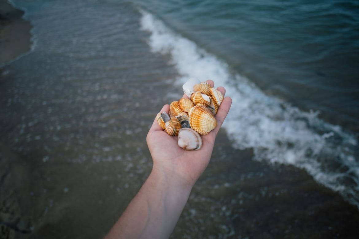 Na snagu stupila Uredba o obnovi prirode