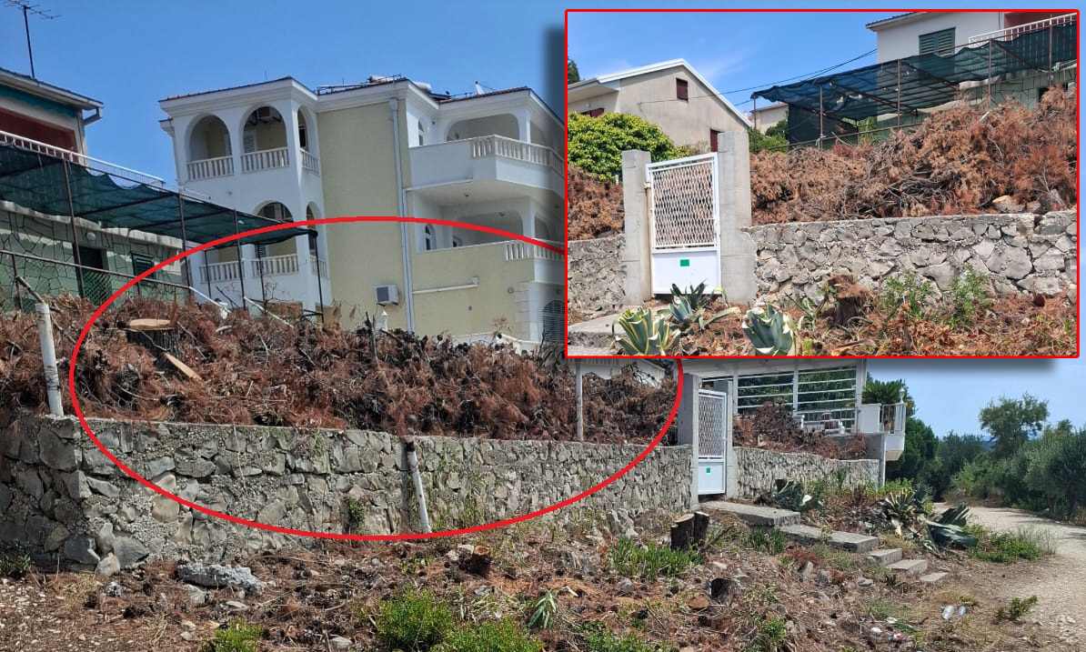 JE LI OVO NORMALNO? Posjekli svu borovinu i vegetaciju i ostavili je u dvorištu, među kućama: "Ljudi, pa dovoljna je iskra!"