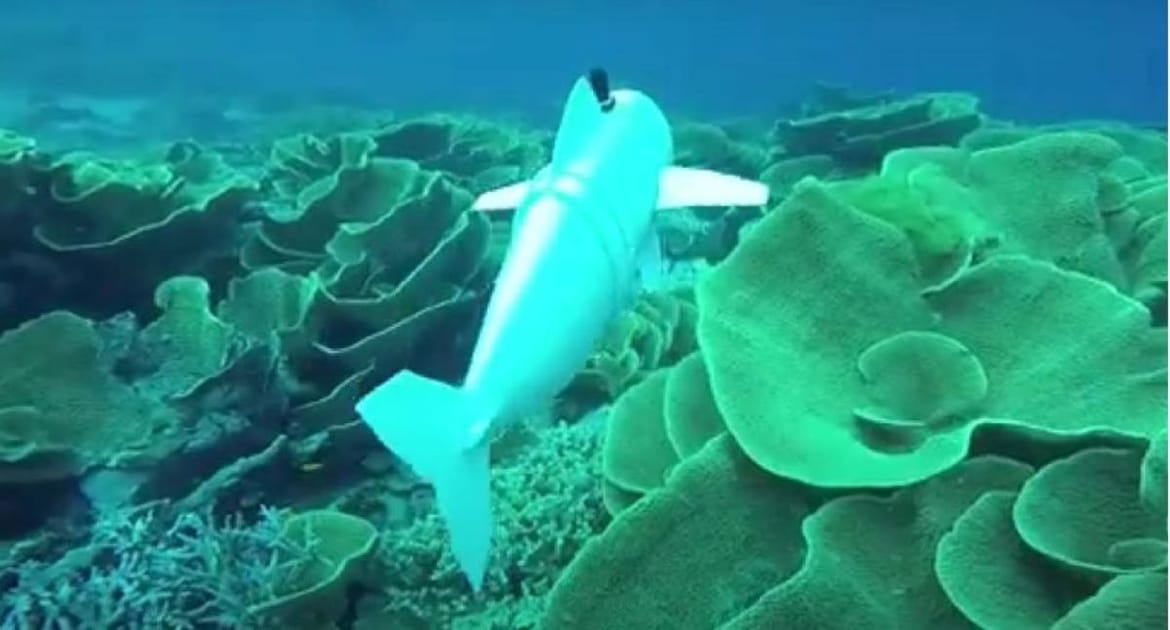 Robotska riba u jezeru u Švicarskoj - Plan je pustiti je u ocean