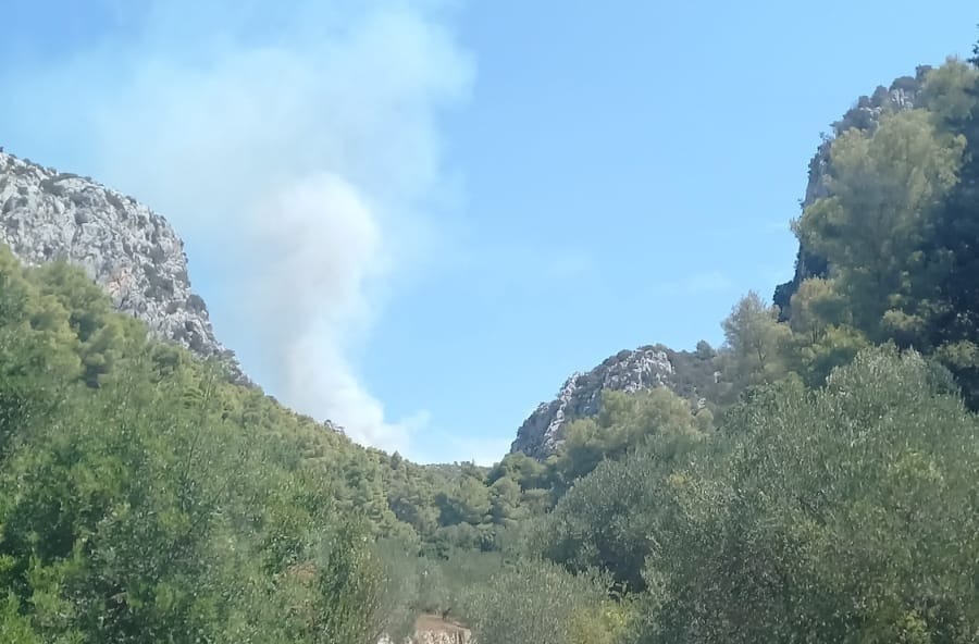 Izbio požar na otoku Hvaru: "Zatražit ćemo pomoć zračnih snaga"