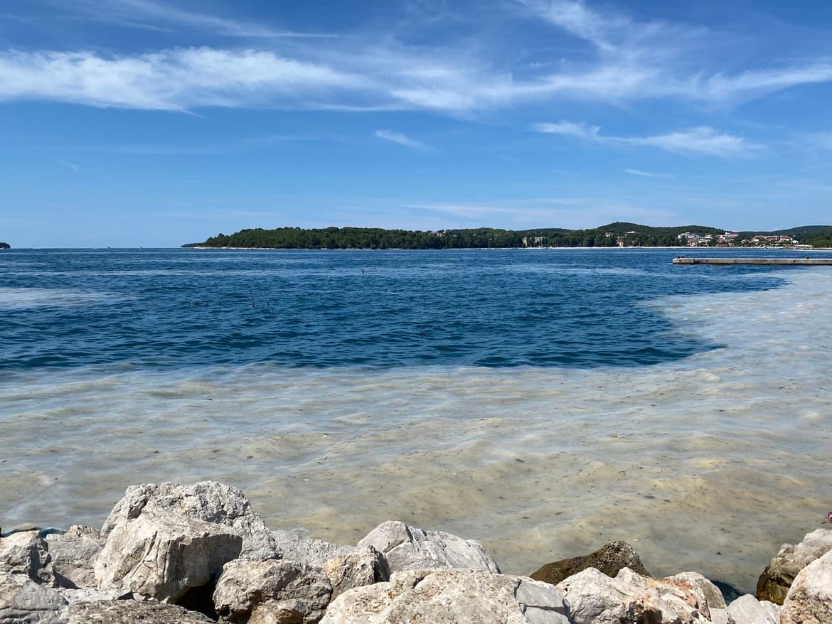 Sluzave nakupine okupirale obale Istre, stručnjakinja objasnila o kojem se fenomenu radi