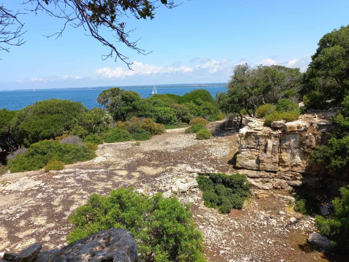 Većina građevina u Veneciji napravljena je od brijunskog kamena