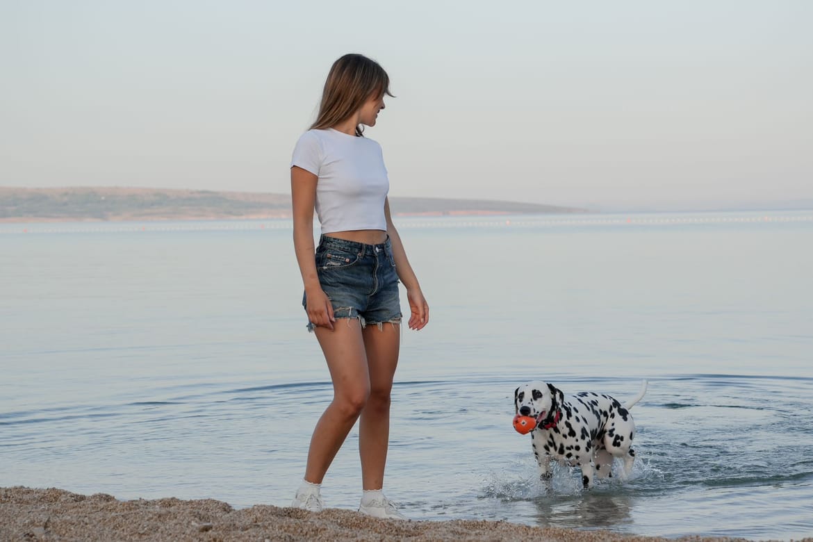 Povljana na otoku Pagu se promovira kao prijateljska destinacija za pse: "Dalmatinac Pago je naš turistički ambasador!"