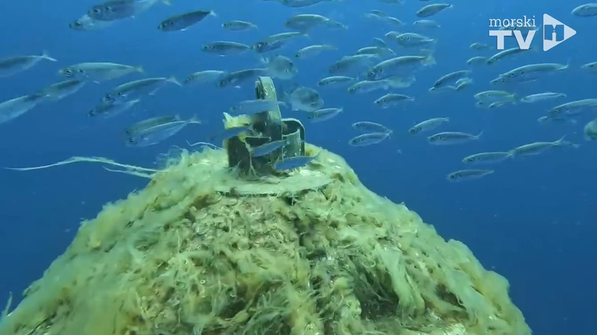 FOTO/VIDEO Pogledajte kako izgleda održavanje meteorološko-oceanografske plutače nasred pučine Kvarnera