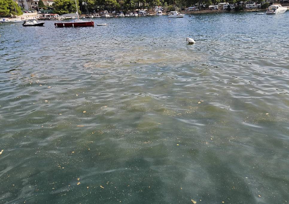 VIDEO Fekalije plivaju na trogirskoj plaži : "Ljudi se razbolijevaju!"