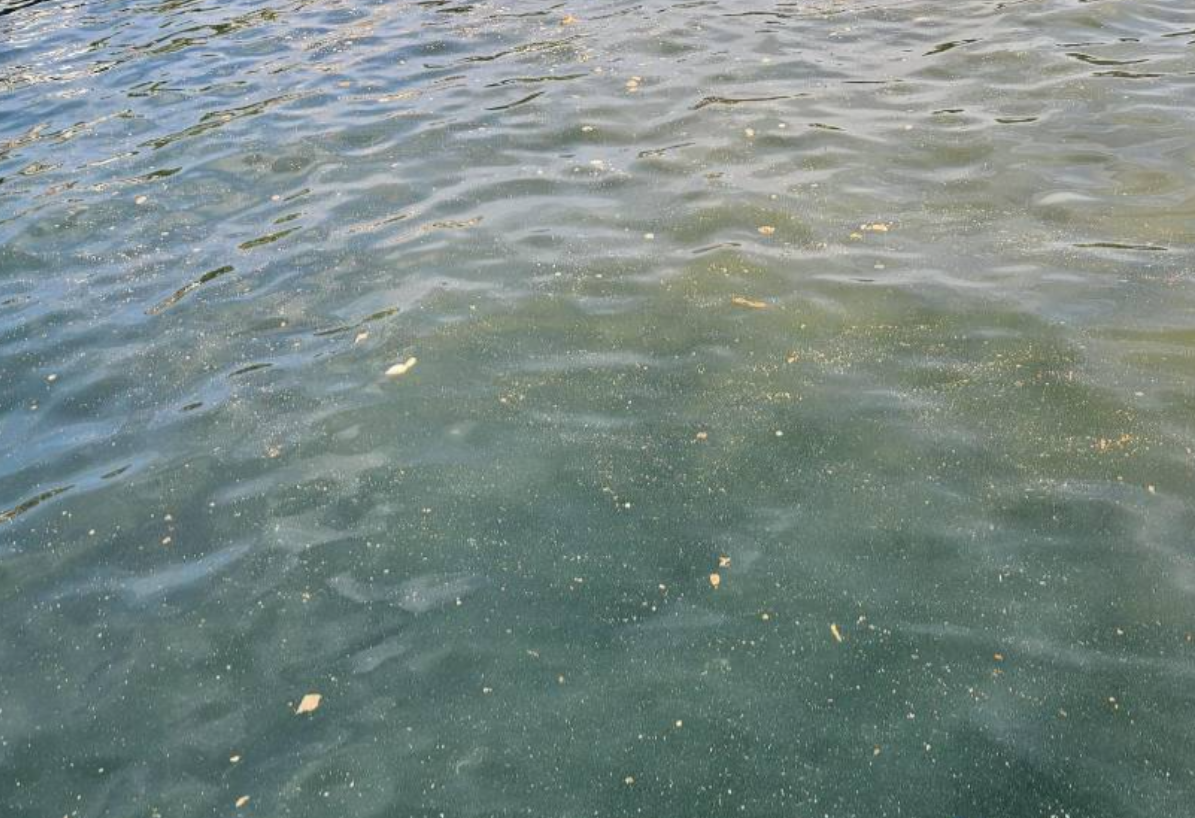 Odgovor iz Grada Trogira - "Curenje fekalija je samo izolirani slučaj!"