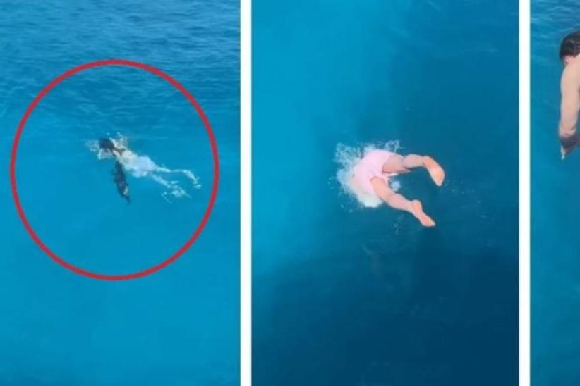 VIDEO Skočio s glisera, a onda ga je iz dubine napala - barakuda!