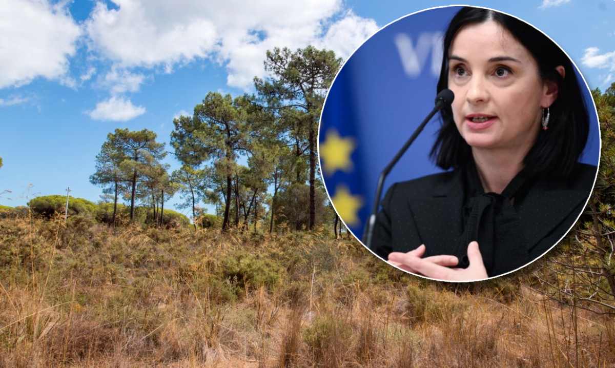 Nakon katastrofalnih požara u Dalmaciji, Vučković najavila rješavanje pitanja zapuštene privatne imovine