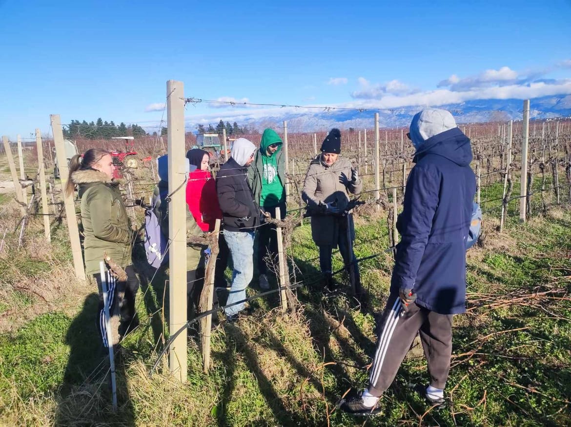 Na zadarskom Sveučilištu od sada postoji diplomski studij - "Mediteranska poljoprivreda"!