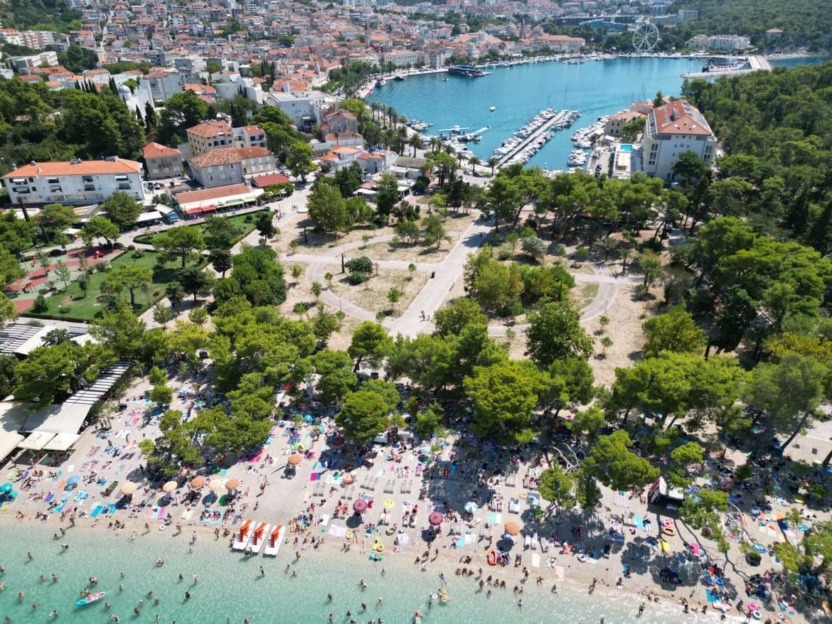 ZELENA MAKARSKA Grad godišnje planira posaditi 100 stabala