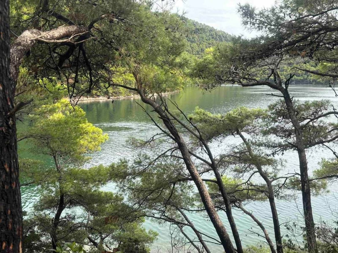 FOTO Pojavile se brojne vrulje u Nacionalnom parku Mljet