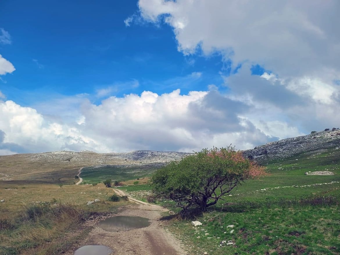 Ova fotografija dokazuje zašto su se požari na Dinari namjerno izazivali