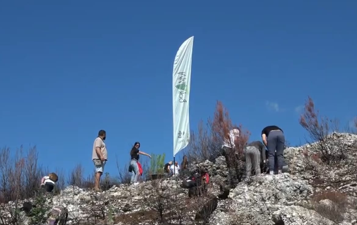 BORANKA Radnim akcijama 200 volontera pošumilo požarište u Parku prirode Biokovo