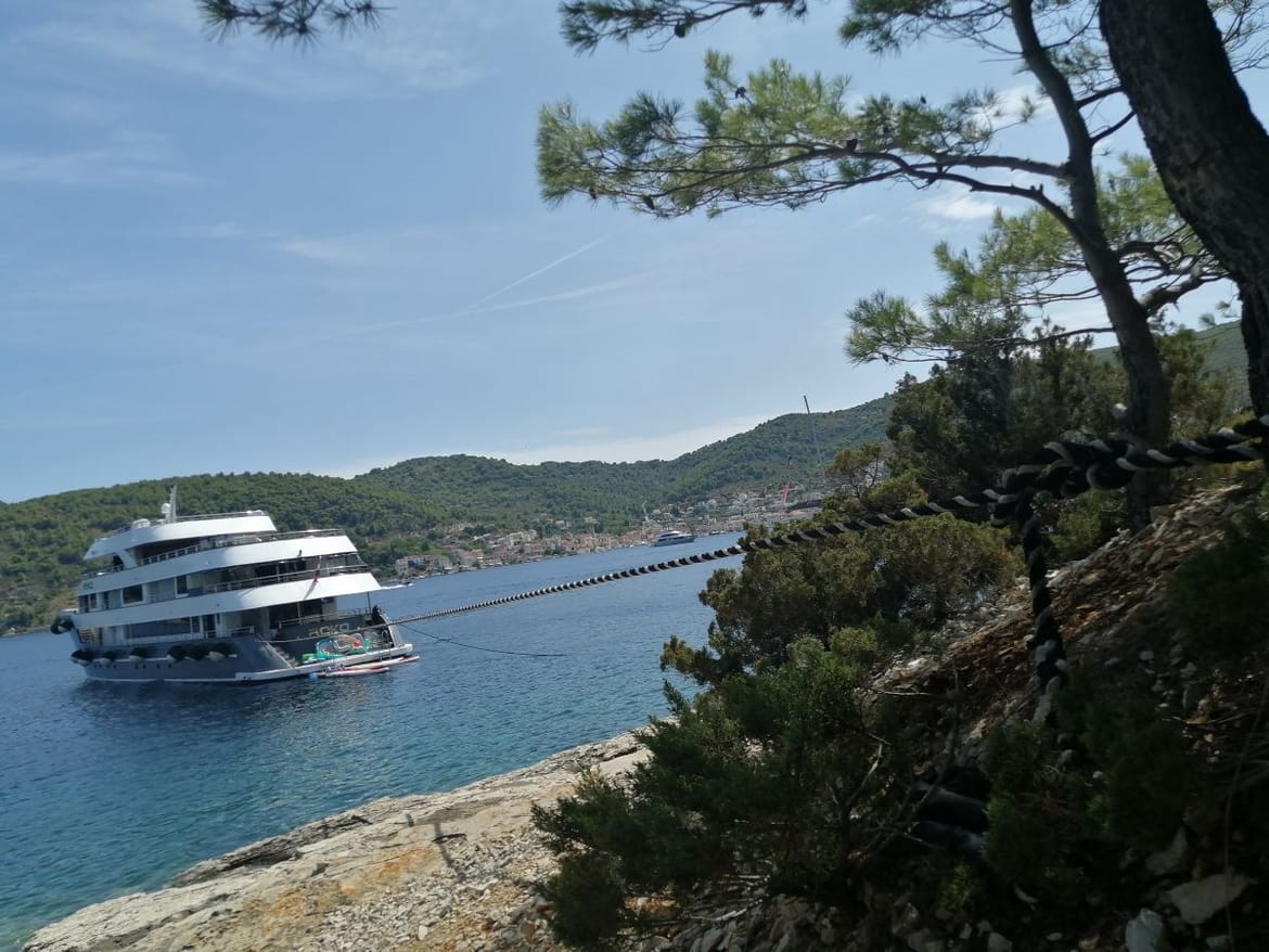 Kontinuirano privezivanje brodova za drveće i stijene na nudističkoj plaži u Visu: "Nekoliko borova polomljeno, puštaju i preglasnu glazbu"