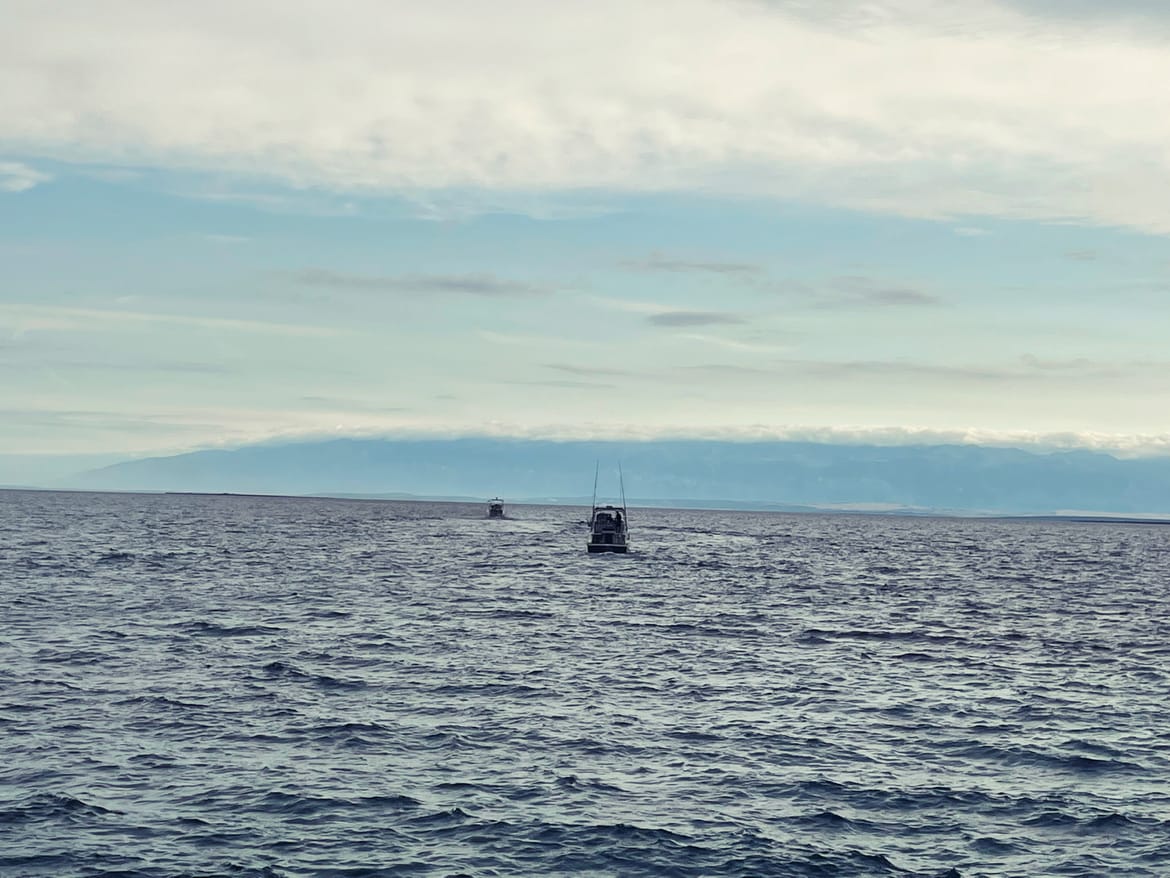 Big game fishing na Silbi - lov na veliku ribu uz puno glazbe i dobre hrane!