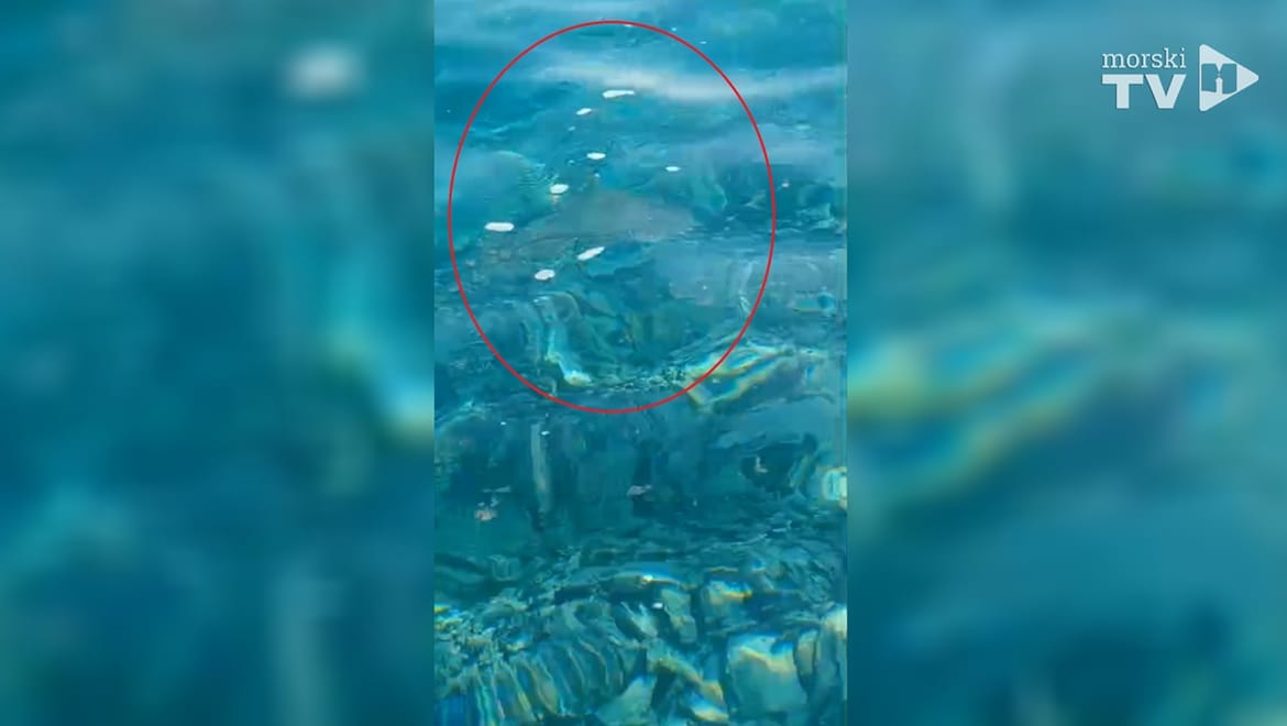 Pogledajte kako jučer i danas izgleda more u Sevidu!