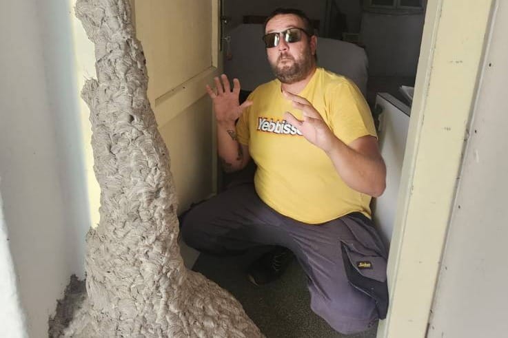 Pogledajte ovo gigantsko gnijezdo stršljenova snimljeno na Šolti!