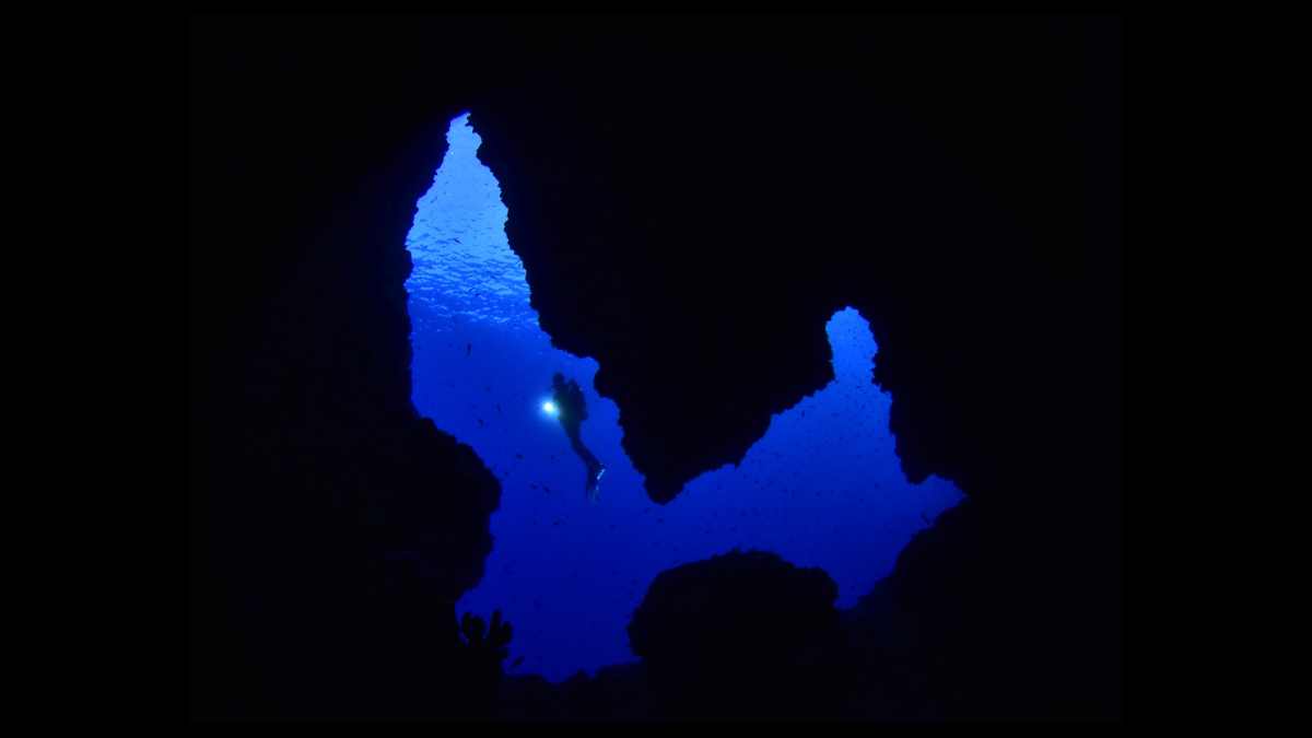 Svjetski spektakl pod morem:  8. Underwater Photo Marathon Cup 2024.