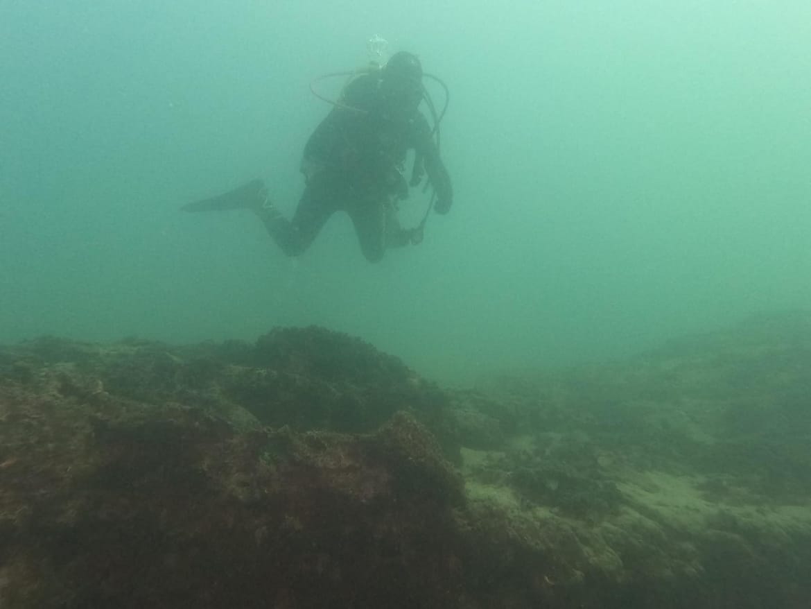 JADRAN JE SVE MUTNIJI Morski biolog: "Moramo smanjiti udio kanalizacije koja završava u moru!"