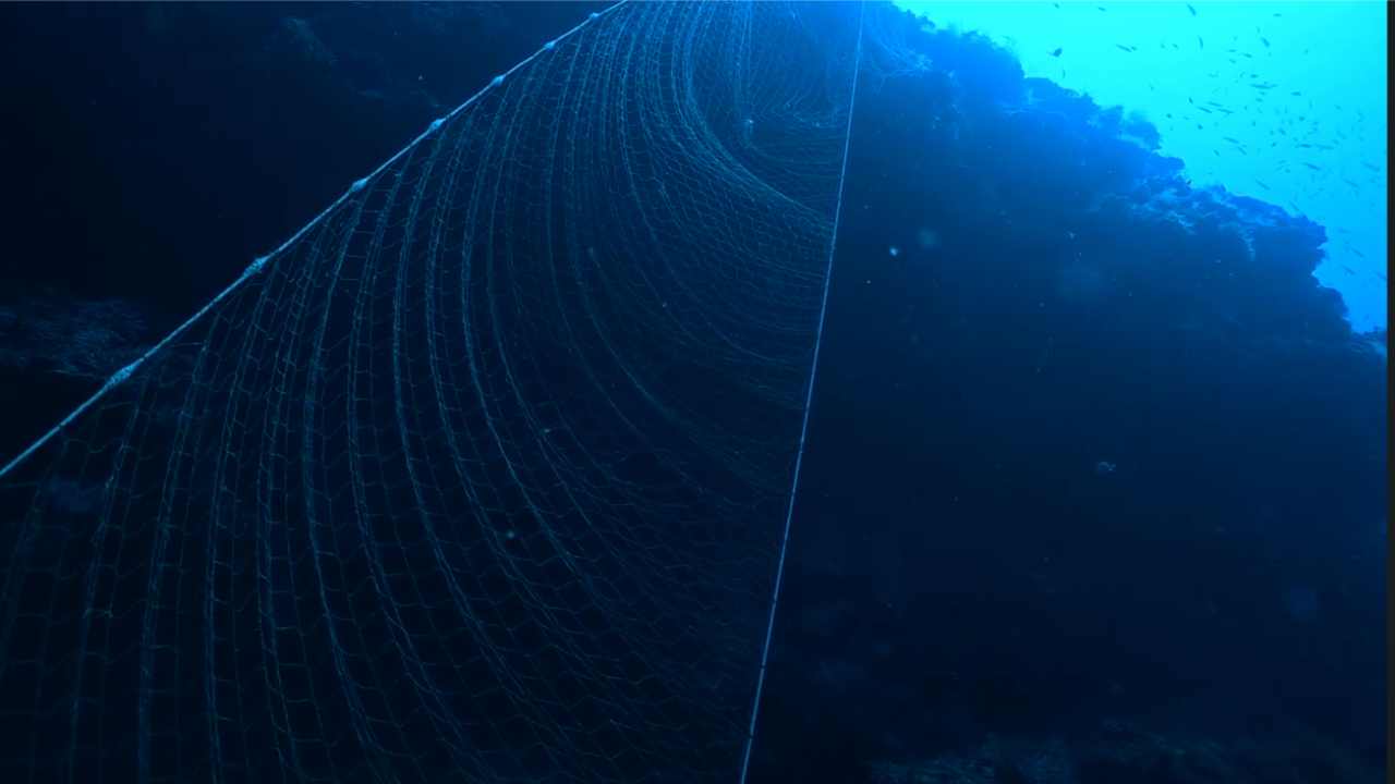 VELIKA OPASNOST O KOJOJ SE NE PRIČA Ova napuštena mreža u Jadranu beskorisno će ubijati živi svijet godinama!